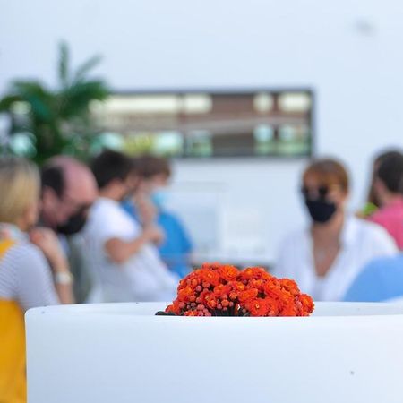 Hotel Playa De La Plata Zahara de los Atunes Zewnętrze zdjęcie